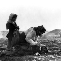 Genocide Armenie 1915
