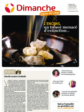 Le Journal Dimanche – 20/01/2021 – Liège