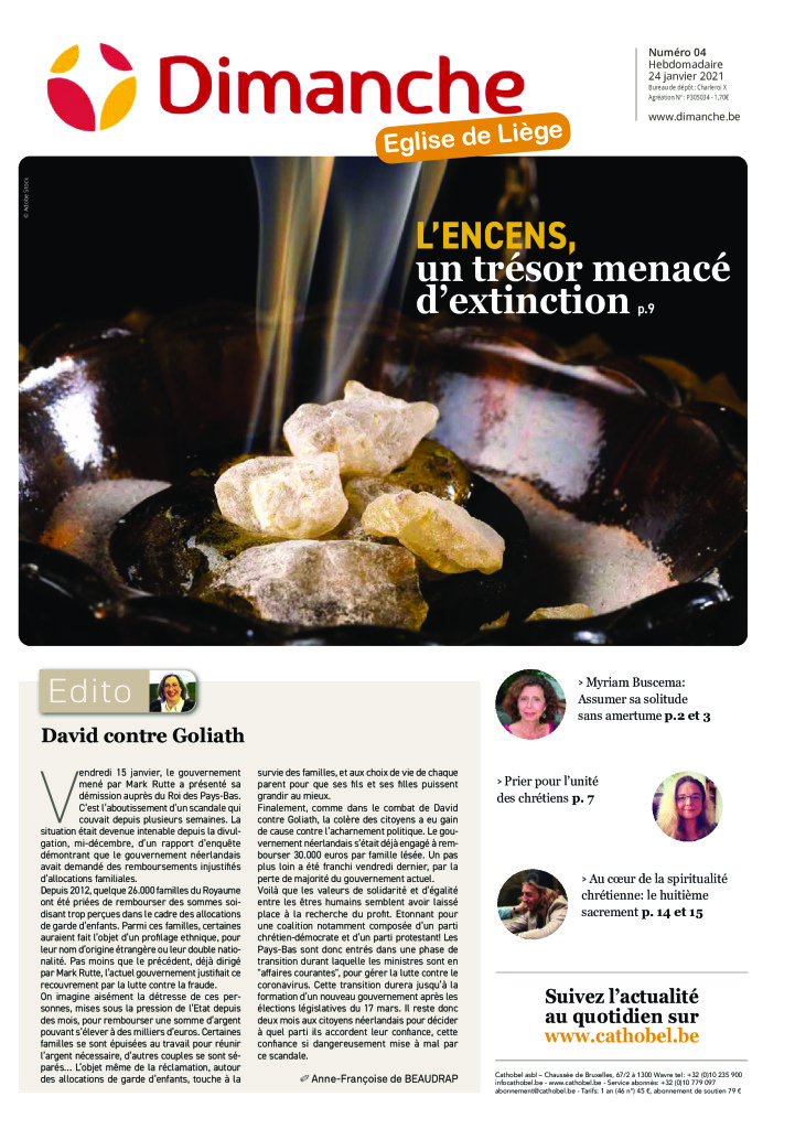 Le Journal Dimanche &#8211; 20/01/2021 &#8211; Liège
